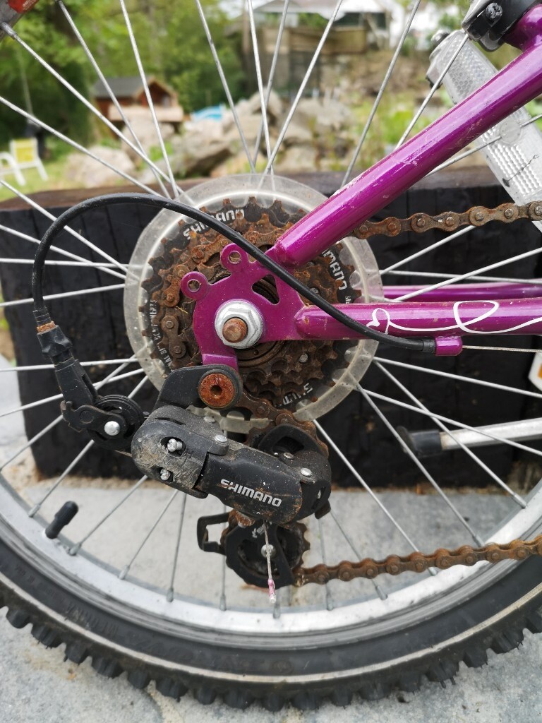raleigh krush 20